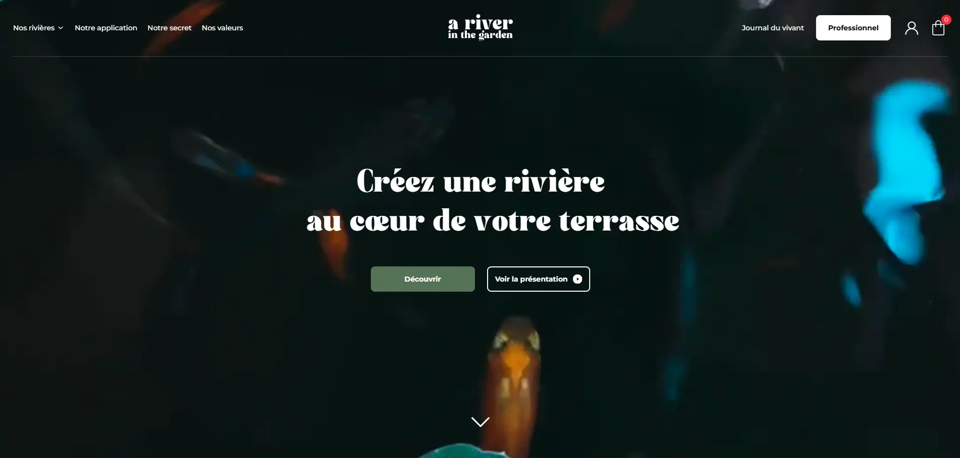 A River In The Garden — Next.js, TypeScript, Tailwind, CMS headless.